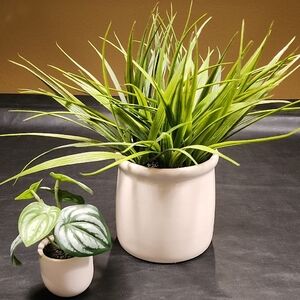 Elegant Green Faux Plants in White Pot
